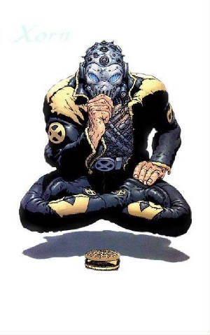 xorn1.jpg